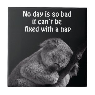 koala bear tile