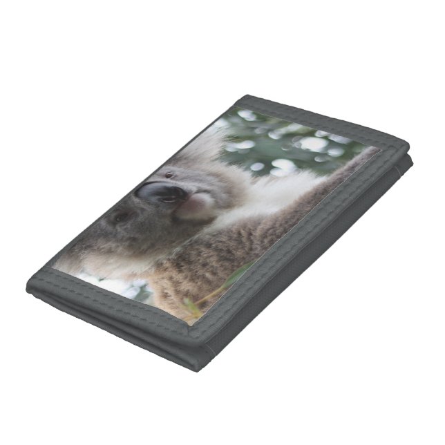 Koala Bear Tri-fold Wallet (Bottom)