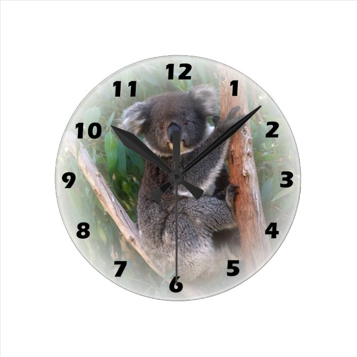 Koala Bear Wall Clock