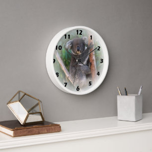 Koala Bear Wall Clock