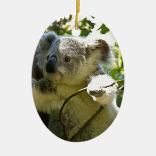Koala Bears Aussi Outback Destiny Nature Ceramic Ornament