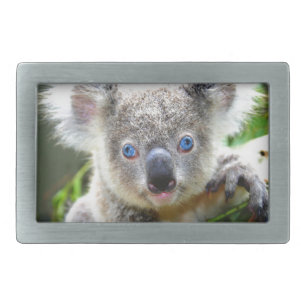 Koala Bears Belt Buckle