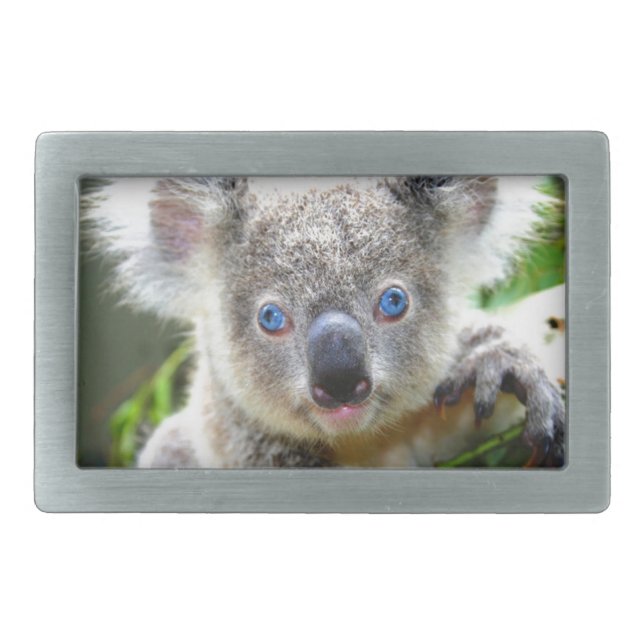 Koala Bears Belt Buckle (Front)