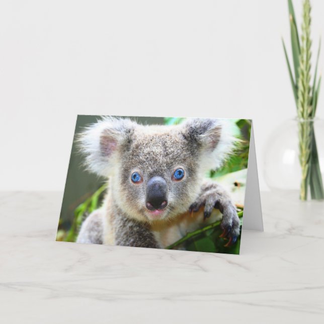 Koala Bears Card (Front)