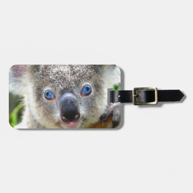 Koala Bears Luggage Tag (Front Horizontal)