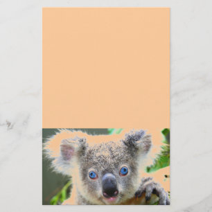 Koala Bears Stationery