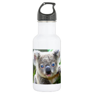 Koala Bears Water Bottle