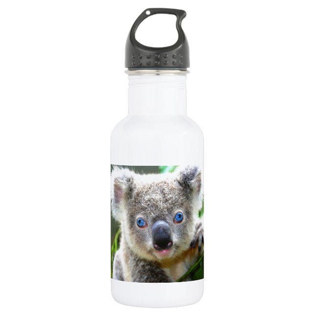 Koala Bears Water Bottle (Front)
