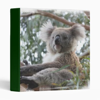 Koala Binder by WildlifeAnimals at Zazzle