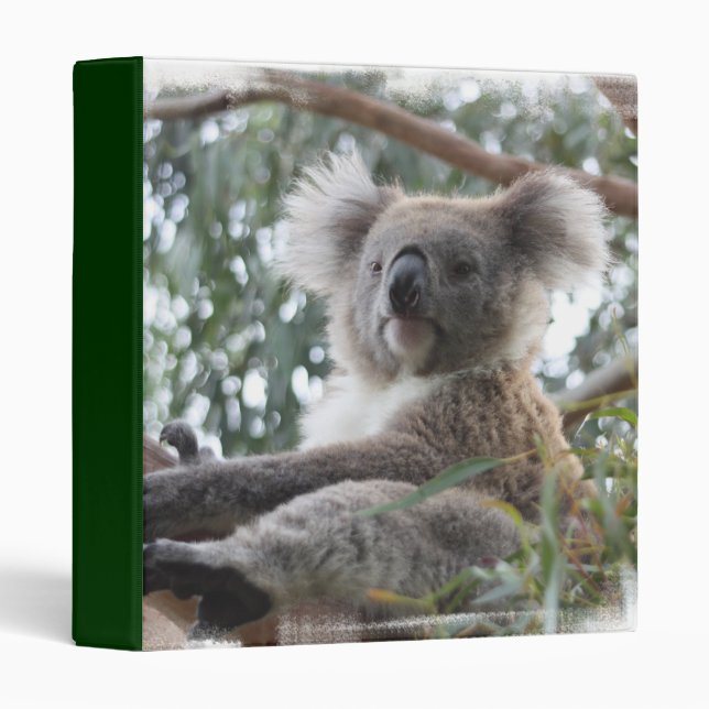 Koala Binder (Front/Spine)