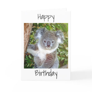 "KOALA BIRTHDAY GREETINGS" CARD