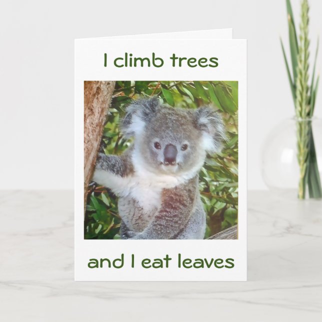 "KOALA BIRTHDAY GREETINGS" HE'LL EAT CAKE FOR YOU CARD (Front)