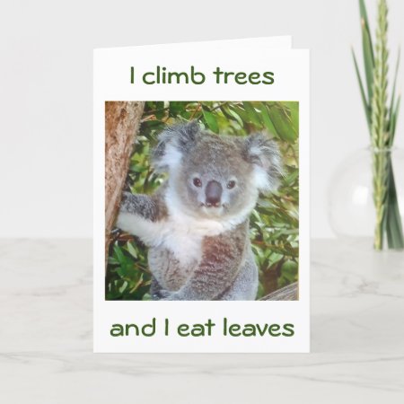 "koala Birthday Greetings" He'll Eat Cake For You Card