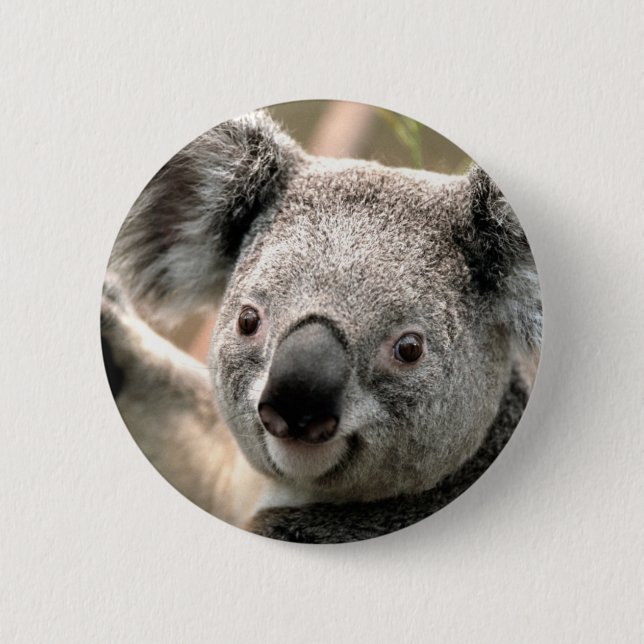 Koala Button (Front)