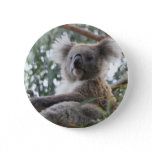 Koala Button