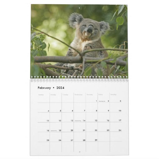 Koala Calendar Zazzle