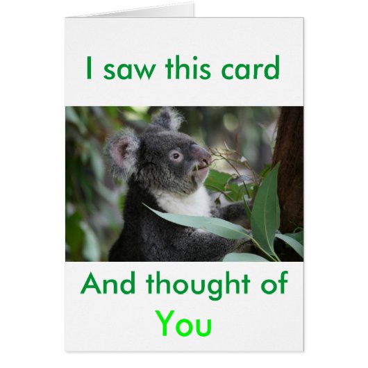 Koala Cards (Front)