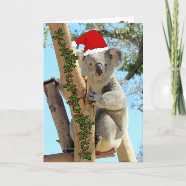 Koala Christmas Card (Front)