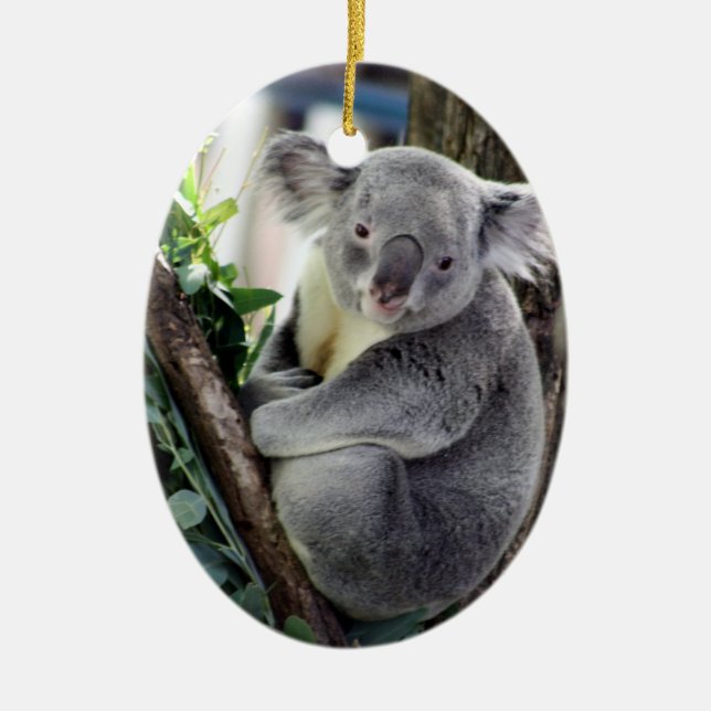 Koala Christmas Ceramic Ornament (Front)