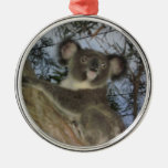Koala Christmas Ornament at Zazzle