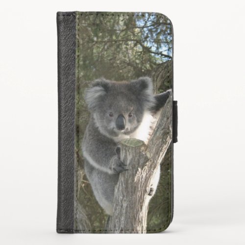 Koala Climbing a Tree iPhone Wallet Case