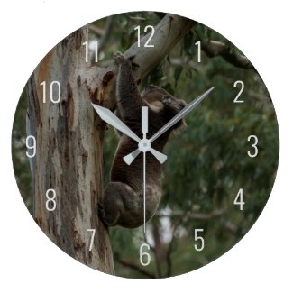 Koala Climbing in a Tree Australia Large Clock