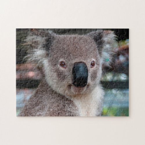 Koala Close Up Jigsaw Puzzle