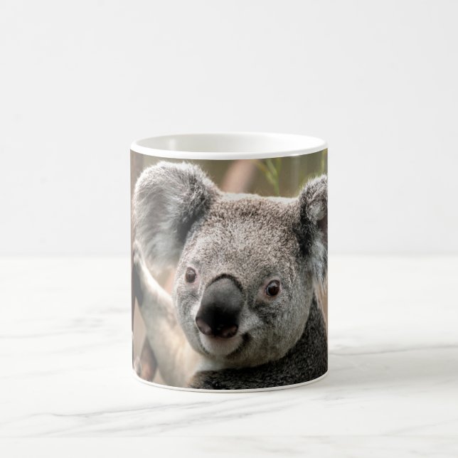 Koala Coffee Mug (Center)
