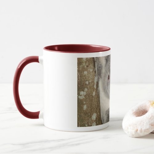 koala coffee mug