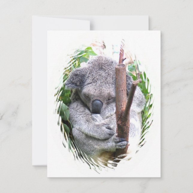 Koala Cuddle Invitation (Front)