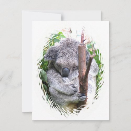 Koala Cuddle Invitation