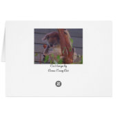 Koala cuddles cards (Back Horizontal)