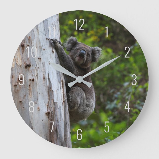 Koala Cute Animal in a Tree Australia Large Clock (Front)