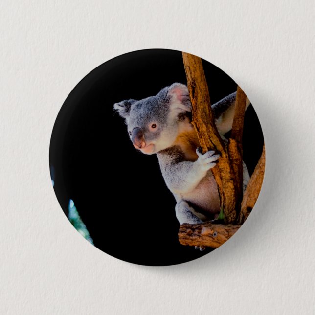 Koala Cute in Tree Gray Button (Front)