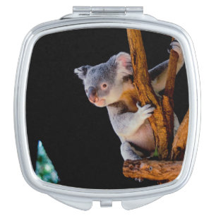 Koala Cute in Tree Gray Compact Mirror