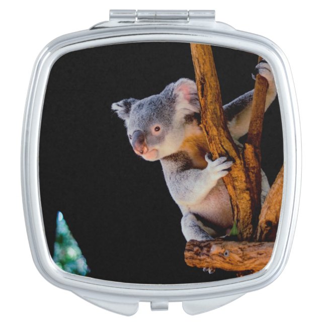 Koala Cute in Tree Gray Compact Mirror (Front)