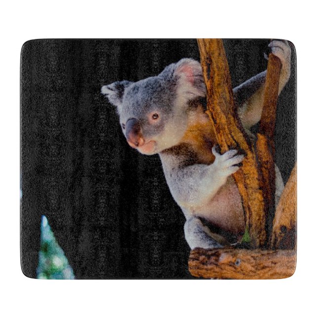 Koala Cute in Tree Gray Cutting Board (Front)
