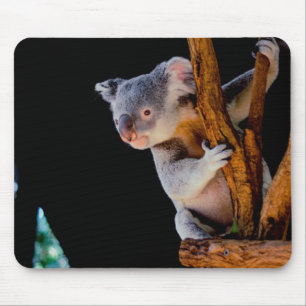 Koala Cute in Tree Gray Mouse Pad