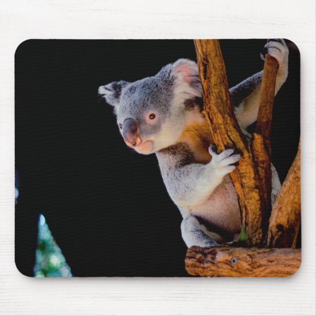 Koala Cute in Tree Gray Mouse Pad (Front)