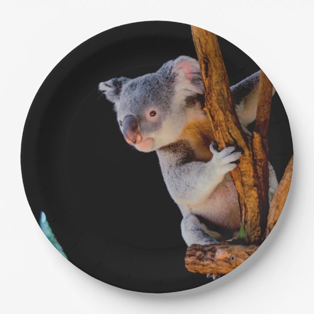 Koala Cute in Tree Gray Paper Plates (Front)