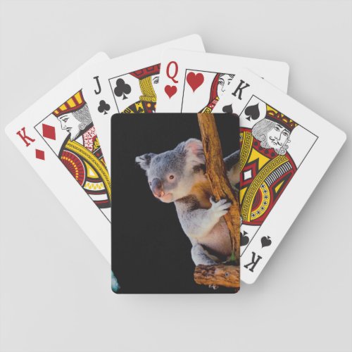 Koala Cute in Tree Gray Poker Cards