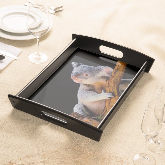 Koala Cute in Tree Gray Serving Tray (Front)