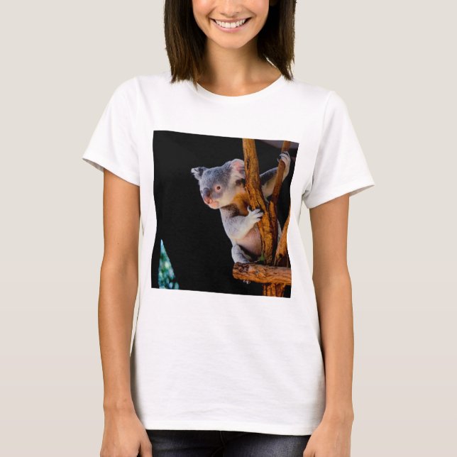 Koala Cute in Tree Gray T-Shirt (Front)