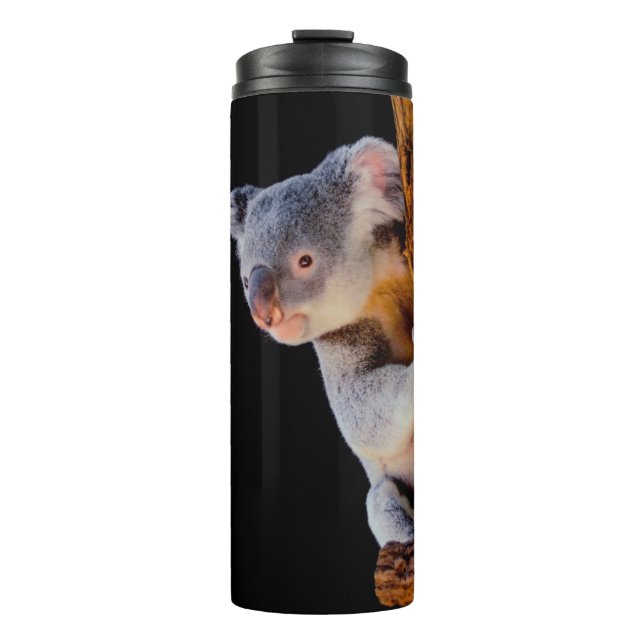 Koala Cute in Tree Gray Thermal Tumbler (Front)