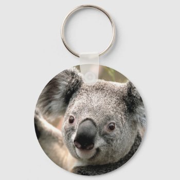 Koala Cutie Keychain by Regella at Zazzle