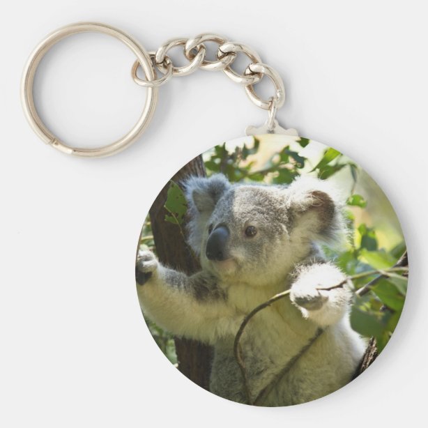 Koala Keychains No Minimum Quantity Zazzle