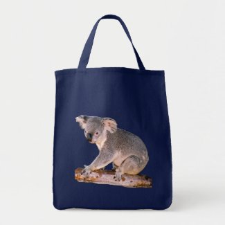 Koala Drawing bag