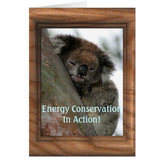Koala - Energy Conservationist Extraordinaire! (Front)