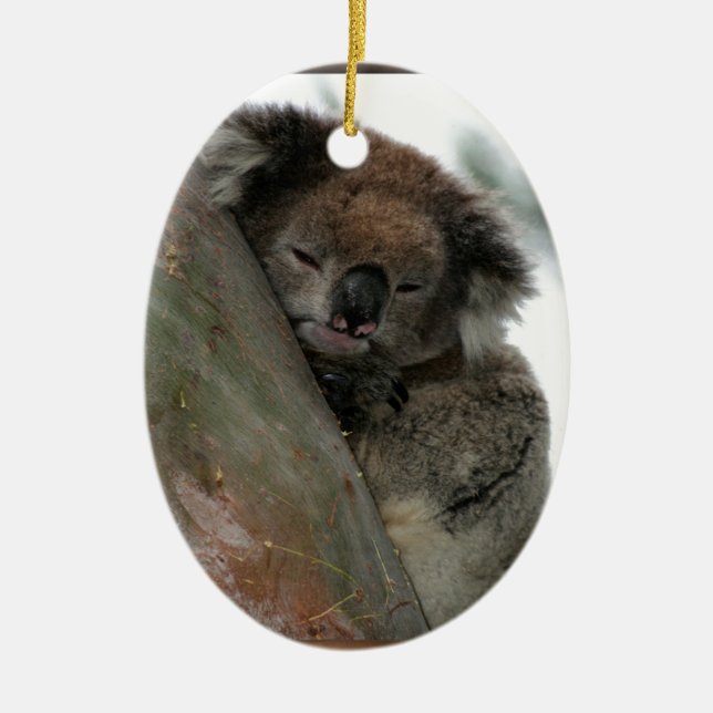 Koala - Energy Conservationist Extraordinaire! Ceramic Ornament (Front)