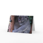 Koala Family Greeting Card
